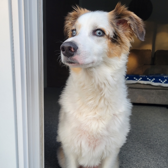 Meet your Posher, Jessica - Picture 2 of 2